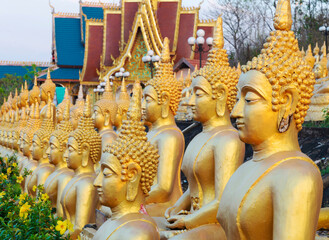 Fototapeta premium Many small,golden Buddha statues at Wat Phousalao,hilltop temple,reflecting sunset light,overlooking Mekong River,Pakse,southern Laos.
