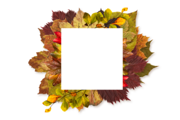 Digital png illustration of frame of autumn leaves on transparent background