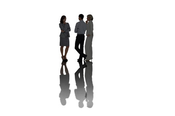 Digital png photo of diverse male and female business colleagues on transparent background