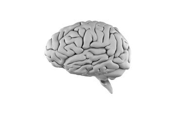 Digital png illustration of brain 3d model on transparent background - obrazy, fototapety, plakaty