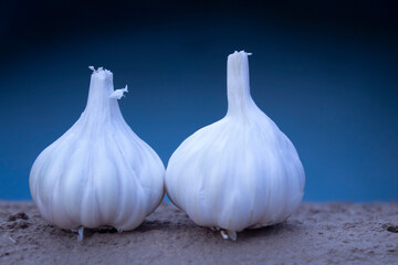 Obraz premium Garlic on the sand wall with blue background. Shallow depth of field