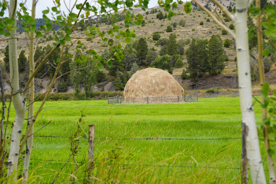 large haystack in the meadow of a western ranch