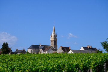 View on Saint-Andelain hilltop village surrounded by vineyards, part Pouilly-Fumé wine region, Loire valley, central France