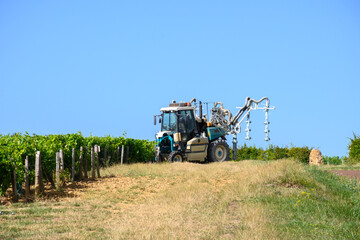 Obraz premium Vineyards of Pouilly-Fume appellation, making of dry white wine from sauvignon blanc grape growing on different types of soils, France