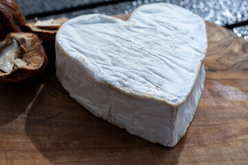 Cheese collection, French cheese from Normandy region, heart-shaped neufchatel close up