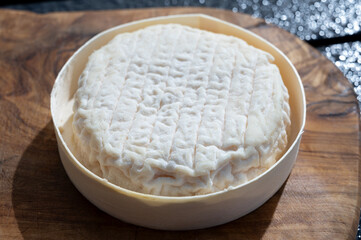 Cheese collection, French Perail let Buissieres cheese made from sheep milk from Aveyron, France close up