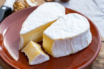 Cheese collection, French cheese from Normandy region, heart-shaped neufchatel close up
