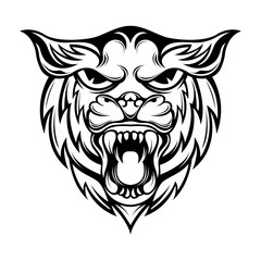 Tiger vector drawing on white background