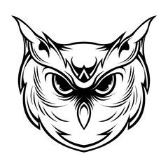 owl head with a black and white design