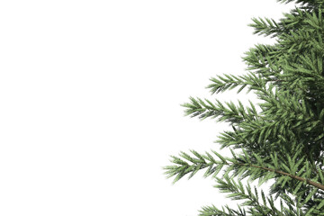 Obraz premium Digital png illustration of tree branches on transparent background