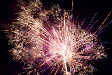 multi pyrotechnic display of multiple colors and styles of exploding fireworks 