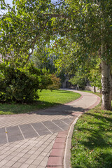 Two-color cement tile walkway in an urban park with leafy trees