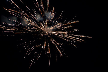 fireworks in the night sky display