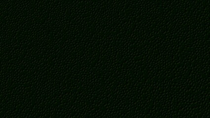 Fototapeta premium Coral texture black background