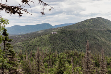 vue en hauteur sur une vallée avec des montagnes et une forêt de conifères en été lors d'une journée ennuagée