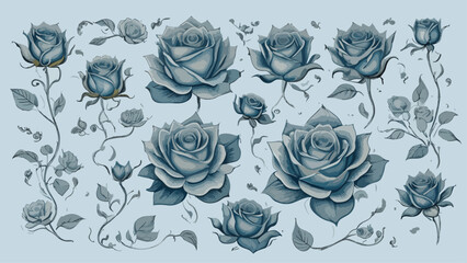 Floral Elegance in Winter, Hand-Drawn Roses Clipart