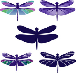 dragonfly silhouette and vector illustration design