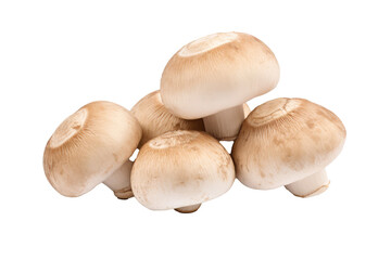 Fototapeta premium Cremini Mushroom Agaricus 
