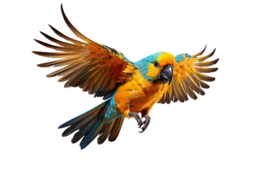 Gordijnen Beautifully yellow and blue parrot macaw bird isolated on a transparent background © Atchariya63