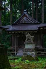 寂れた神社