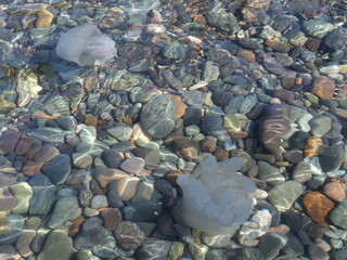 stunning background with very clear water and beautiful rocks