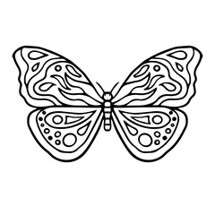 Beautiful butterfly isolated on white background. line. Insect. Vector illustration