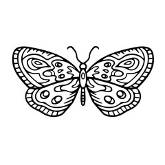 Beautiful butterfly isolated on white background. line. Insect. Vector illustration