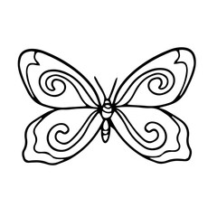 Beautiful butterfly isolated on white background. line. Insect. Vector illustration