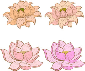 Hand drawn lotus flower isolate vector set.Traditional Japanese and Chinese flower illustration for elements on colorring books.
