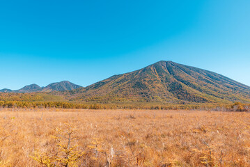 Fototapeta premium 快晴の奥日光戦場ヶ原の草紅葉と男体山