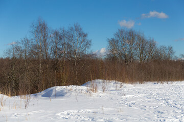 landscape on a sunny day
