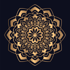 Mandala pattern design with background temple vector illustration icon vector