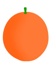 orange fruit 
