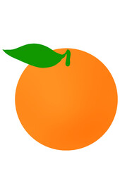 orange fruit 