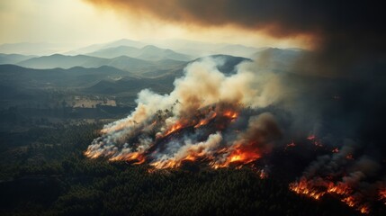 Great wildfire burning the a large forest, global crisis of climate change, protecting the world from global boiling crisis.