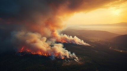 Fototapeta premium Great wildfire burning the a large forest, global crisis of climate change, protecting the world from global boiling crisis.