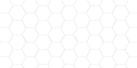 Fototapeta premium Abstract background with hexagon and white Hexagonal Background. Luxury White Pattern. Vector Illustration. 3D Futuristic abstract honeycomb mosaic white background. geometric mesh cell texture.