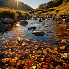 stones in water