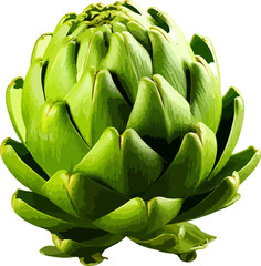 Artichoke clip art