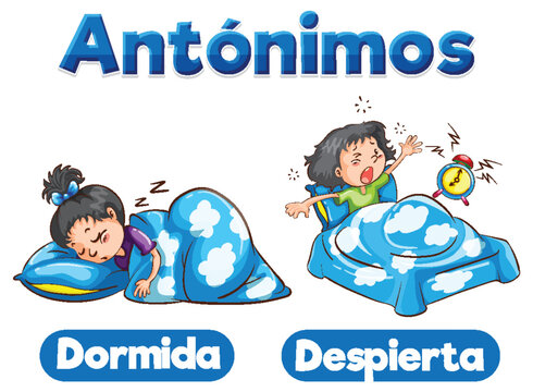 Dormida and Despierta: Spanish Word Card with Antonyms