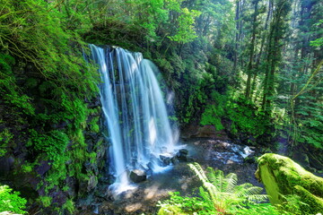 唐沢の滝（菅平高原）