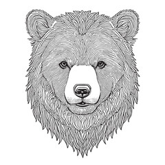 Bear head  concept  line art concept stock illustration