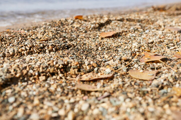 Close-up of pebbles on the beach in autumn.
