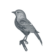 The bird symbolizes art design stock illustration