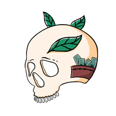 Skull png images