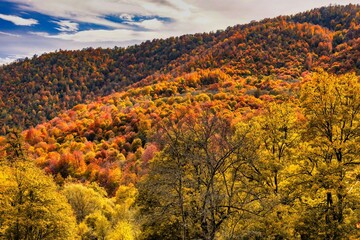 Fototapeta premium sunset in the mountains