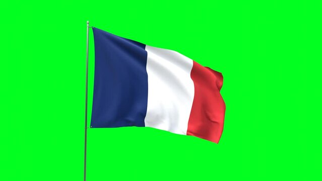 Flag of France on green background, Flag looping video