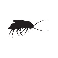 Cockroach icon,vector illustration logo design