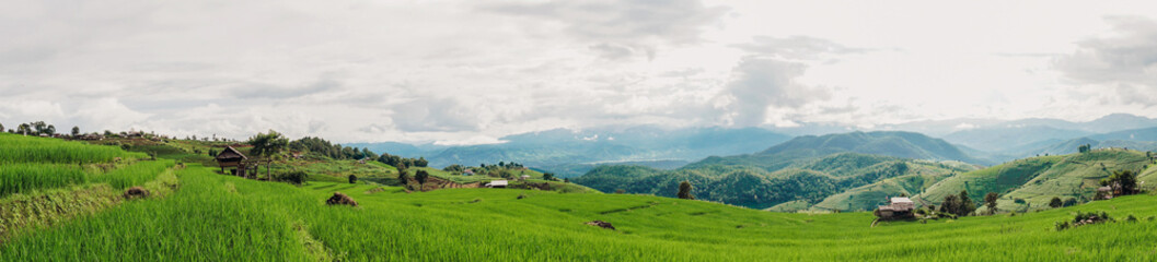 Fototapeta na wymiar Panorama Green rice field with mountain background at Pa Pong Piang Rice Terraces Chiang Mai, Thailand. Terraced rice field with fog and dramatic sky. a valley among the rice terraces.