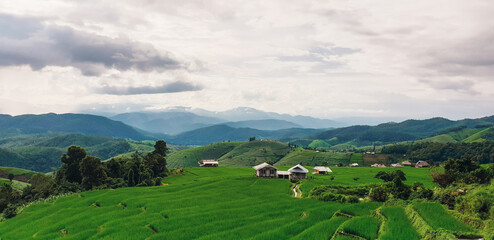 Panorama Green rice field with mountain background at Pa Pong Piang Rice Terraces Chiang Mai,...